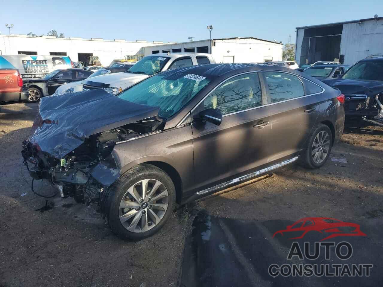 HYUNDAI SONATA 2016 - 5NPE34AF6GH415120