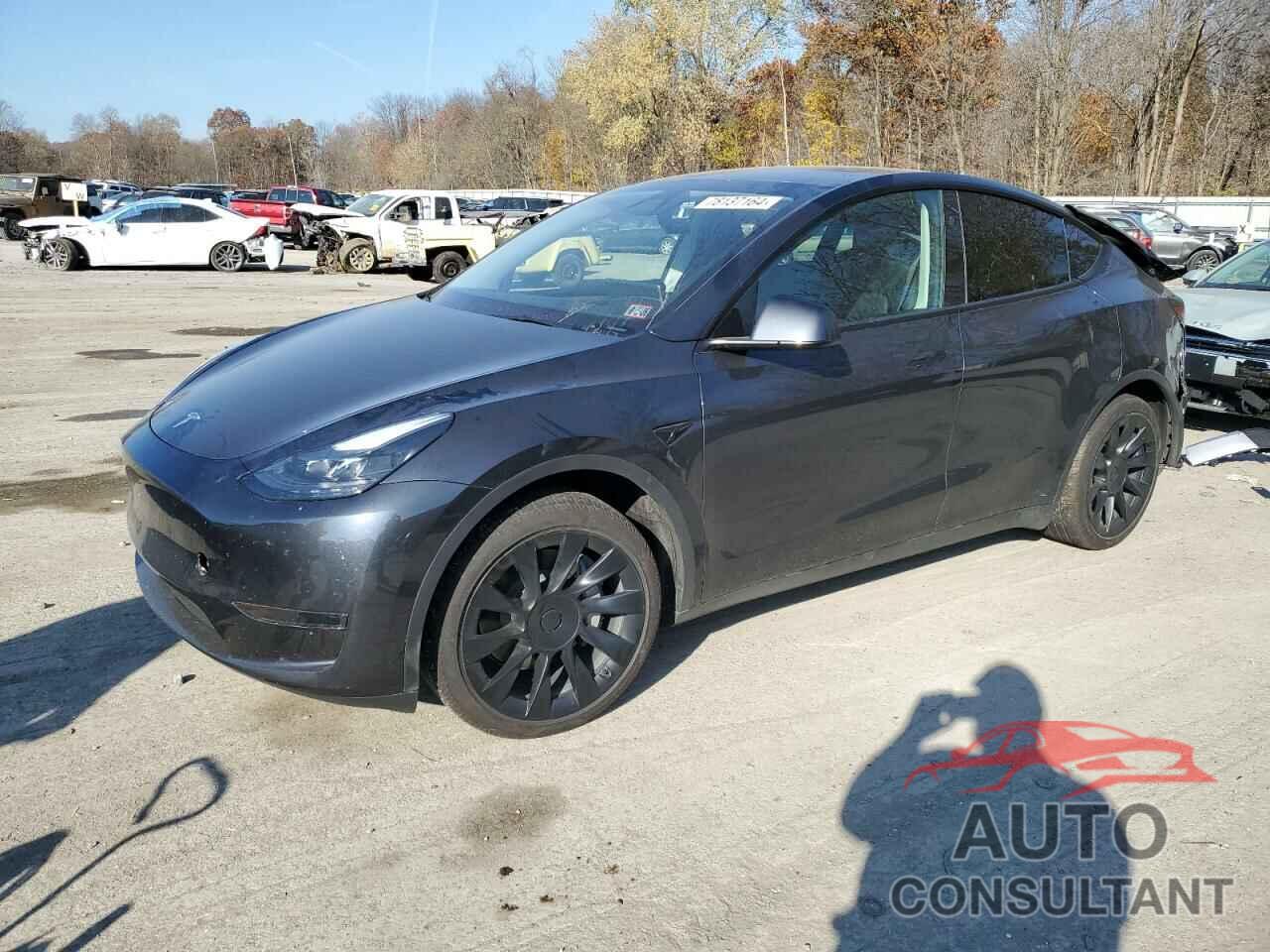 TESLA MODEL Y 2024 - 7SAYGAEE5RF061273