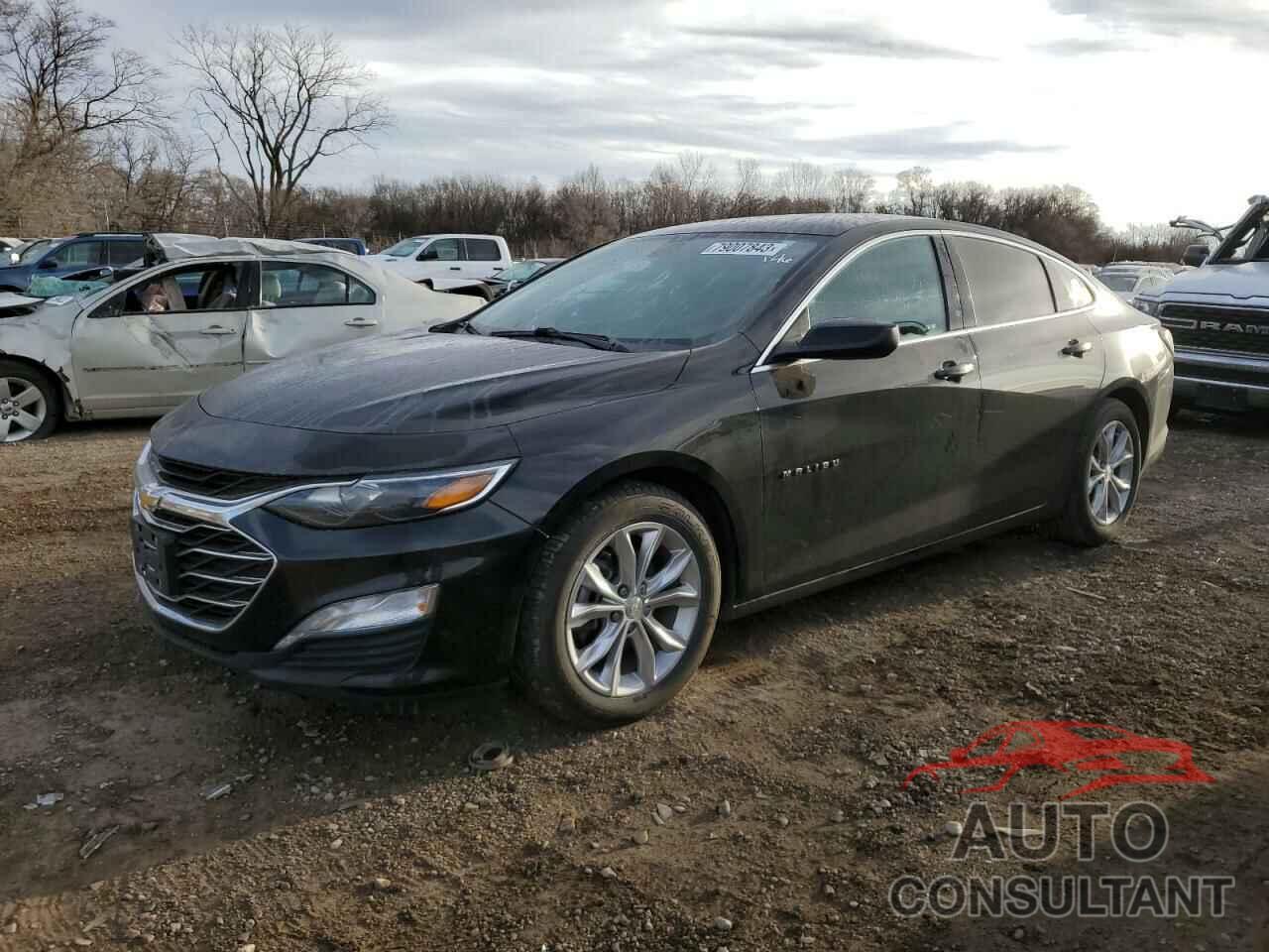 CHEVROLET MALIBU 2019 - 1G1ZD5ST7KF131497
