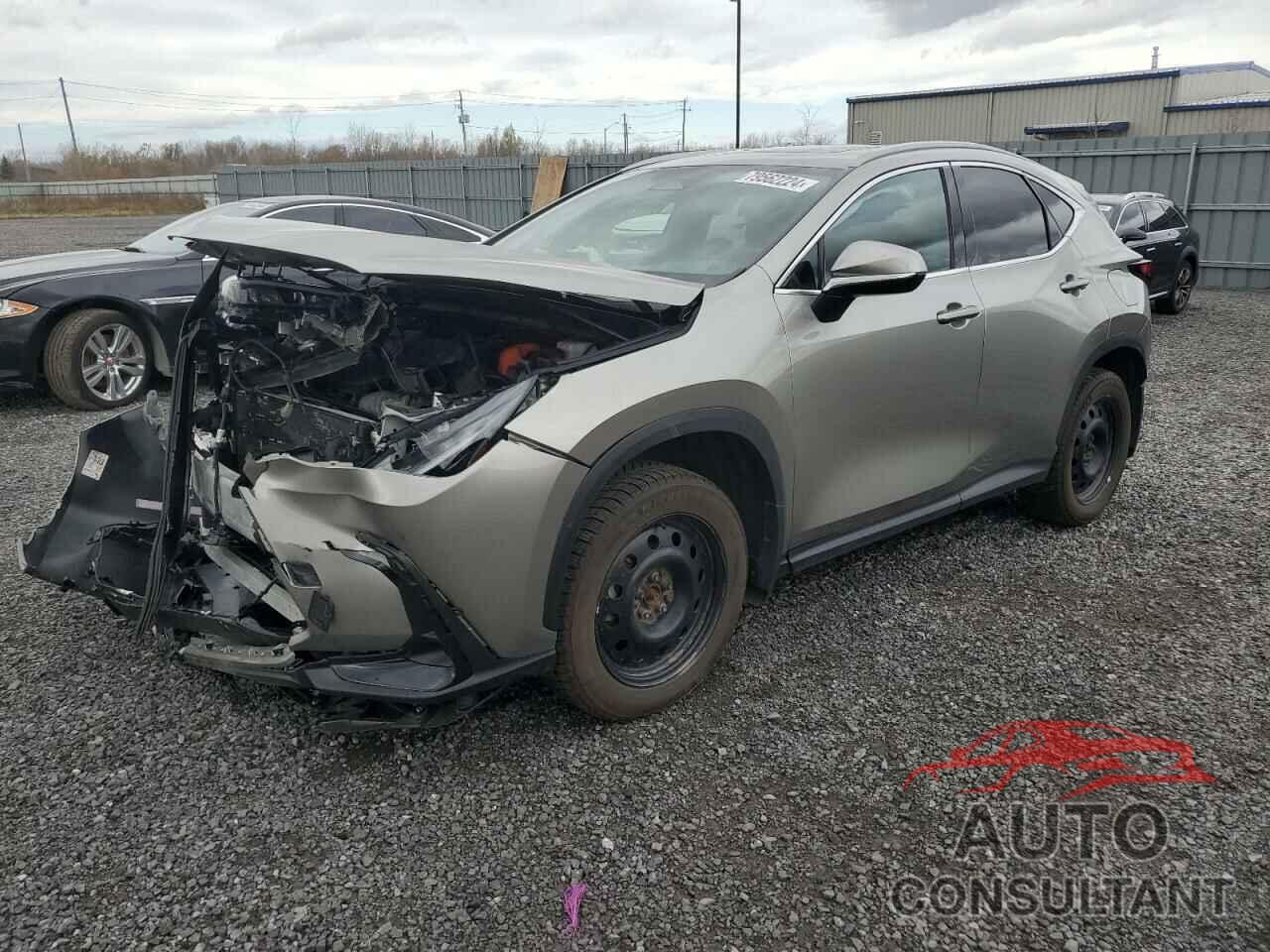 LEXUS NX 350H BA 2024 - 2T2GKCEZ1RC022136