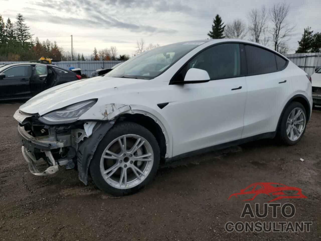 TESLA MODEL Y 2021 - 5YJYGDED3MF119332