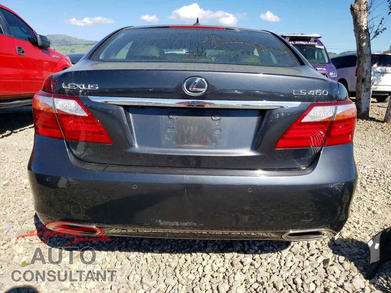 LEXUS LS 460 2010 - JTHBL5EF3A5100655