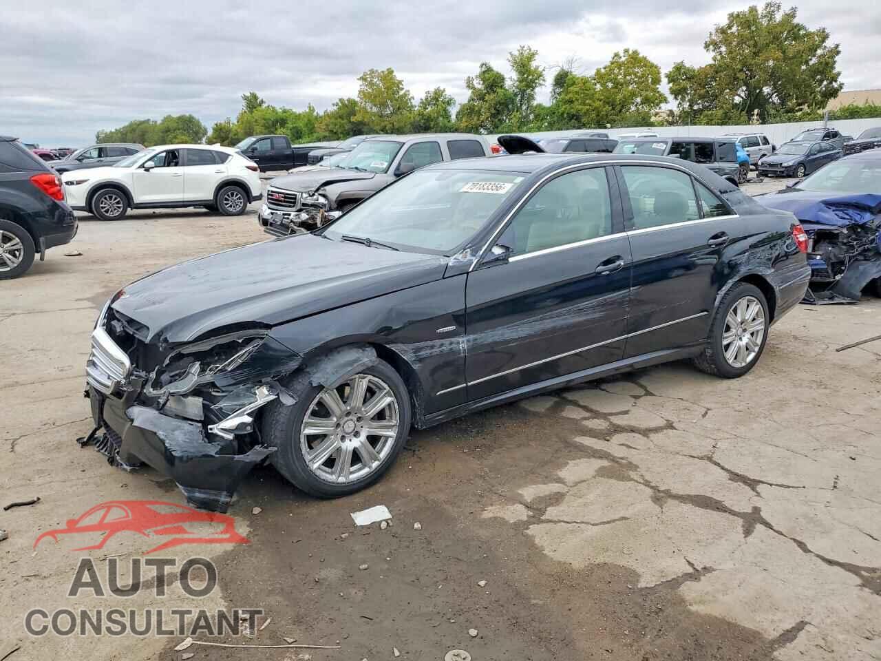 MERCEDES-BENZ E-CLASS 2012 - WDDHF8JB2CA549638