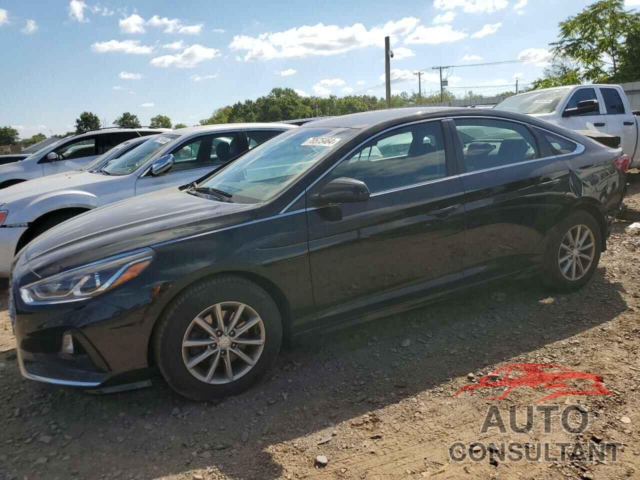 HYUNDAI SONATA 2019 - 5NPE24AF0KH801740