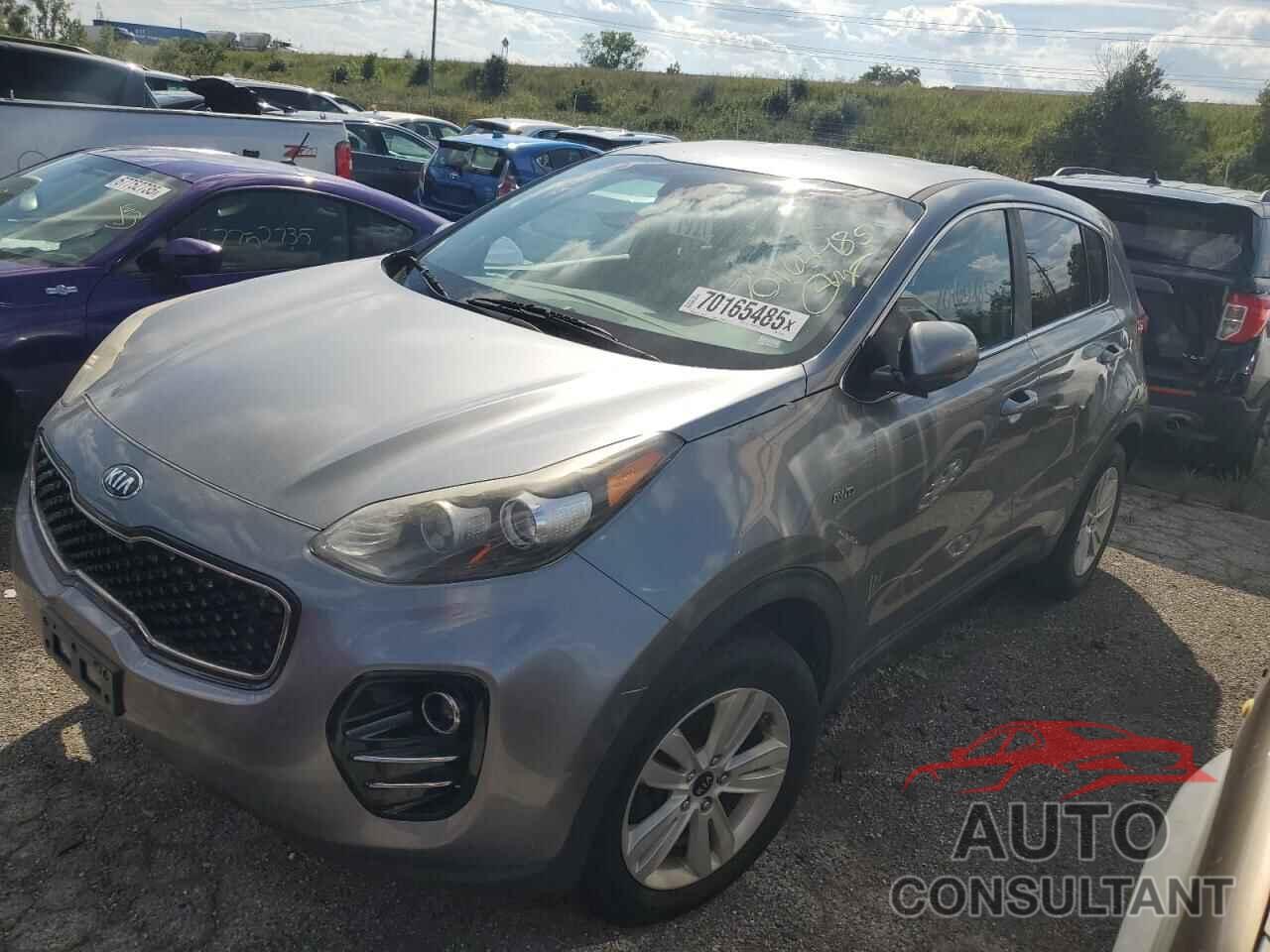 KIA SPORTAGE 2017 - KNDPMCAC8H7117566