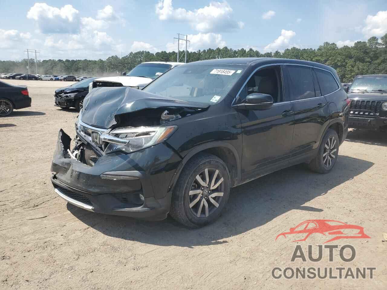 HONDA PILOT 2019 - 5FNYF6H55KB021161