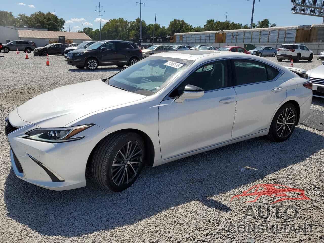 LEXUS ES300 2022 - 58ADA1C13NU019140