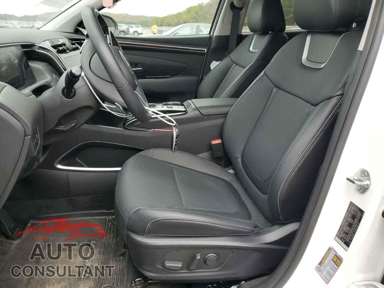 HYUNDAI TUCSON 2024 - 5NMJECDE4RH395102