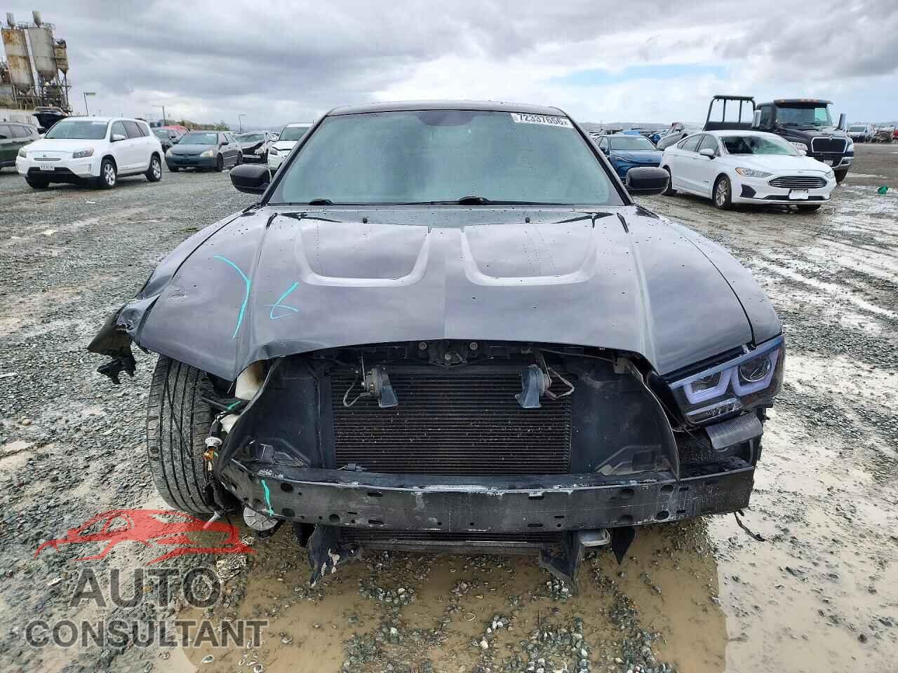 DODGE CHARGER 2014 - 2C3CDXHG2EH217097