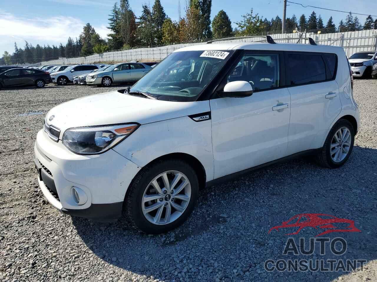 KIA SOUL 2019 - KNDJP3A55K7663456