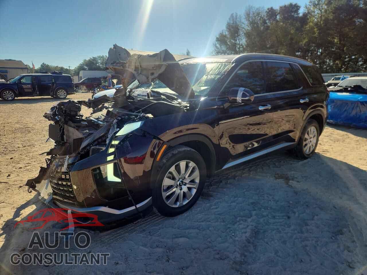 HYUNDAI PALISADE 2023 - KM8R2DGEXPU616152