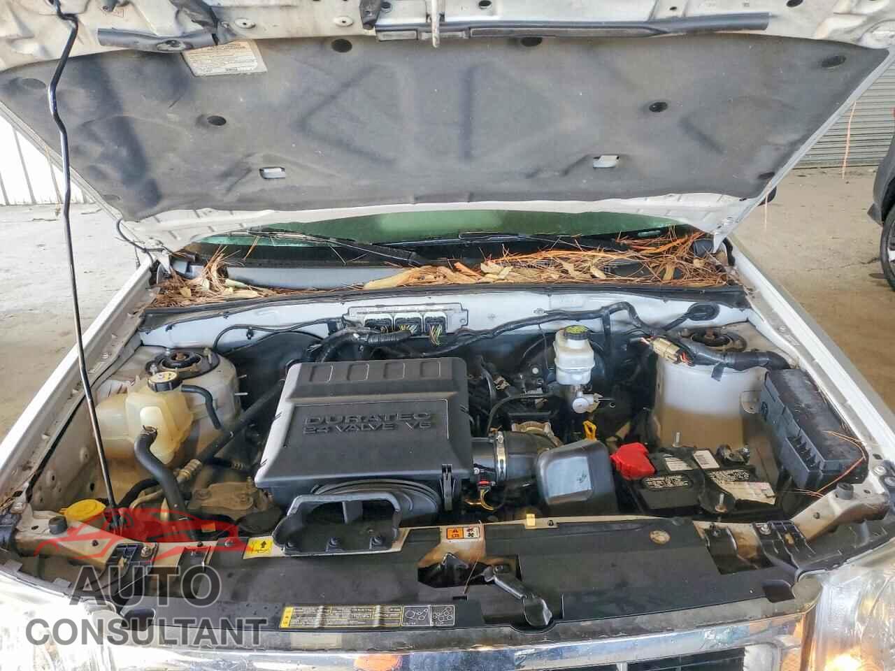 FORD ESCAPE 2012 - 1FMCU9DG2CKC68047