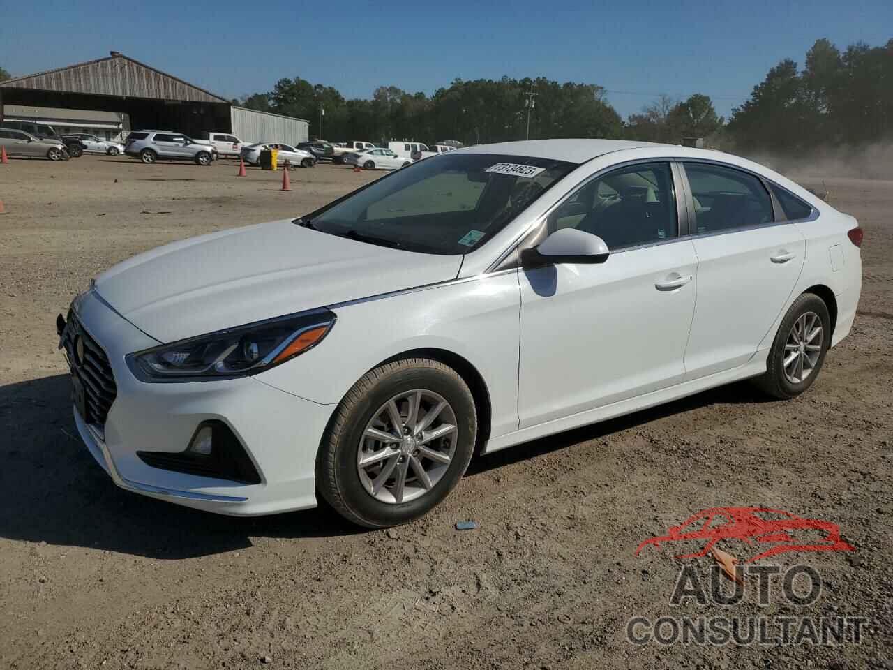 HYUNDAI SONATA 2019 - 5NPE24AF3KH744871