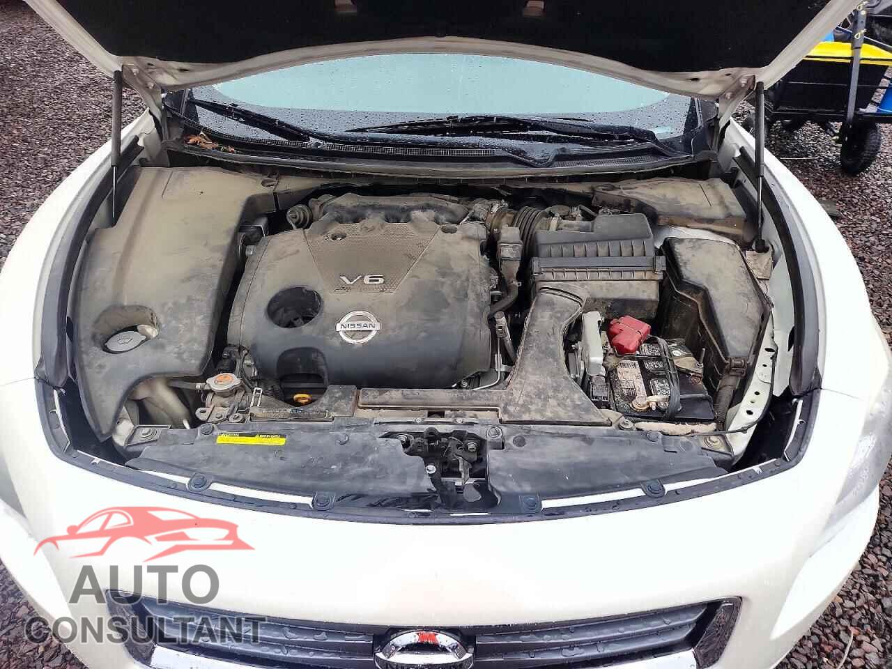 NISSAN MAXIMA 2014 - 1N4AA5APXEC909921