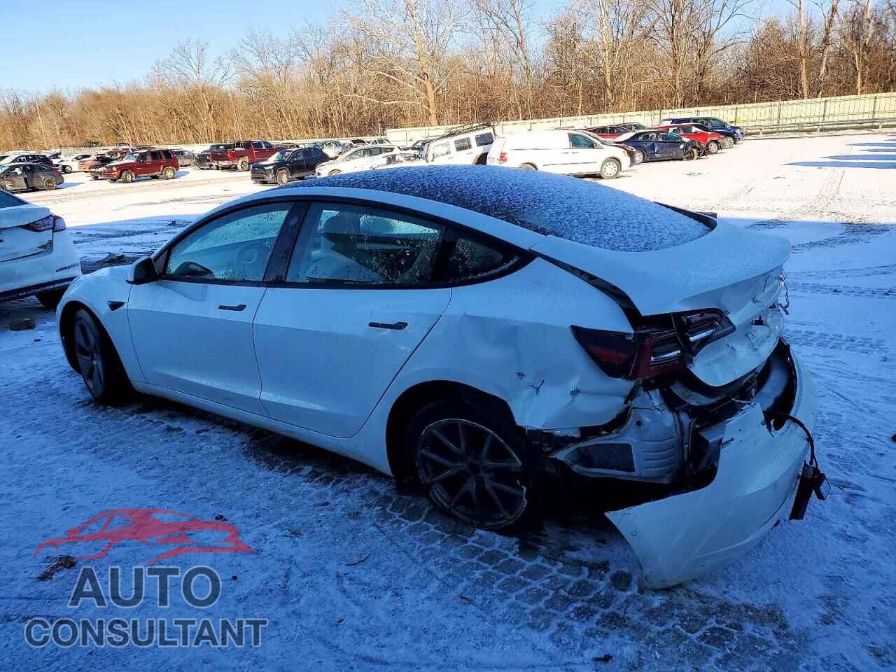 TESLA MODEL 3 2021 - 5YJ3E1EA2MF093195