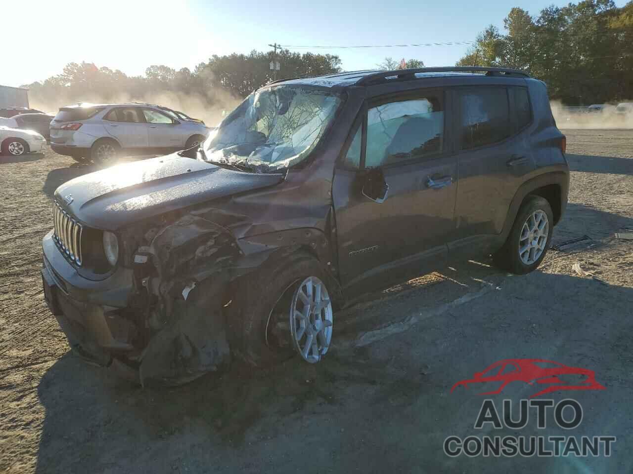 JEEP RENEGADE 2019 - ZACNJABB1KPK51496