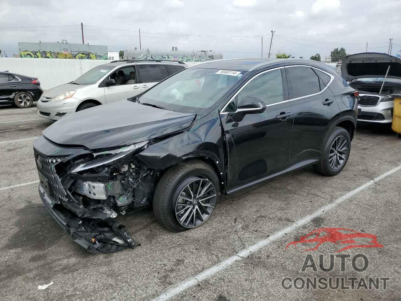 LEXUS NX 350 PRE 2024 - 2T2GGCEZ3RC045242