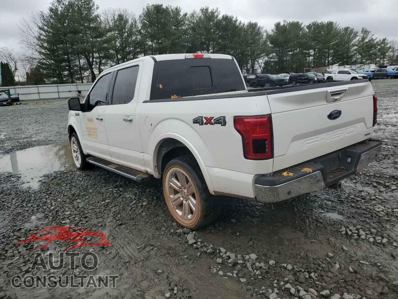 FORD F-150 2019 - 1FTEW1E4XKFD24210