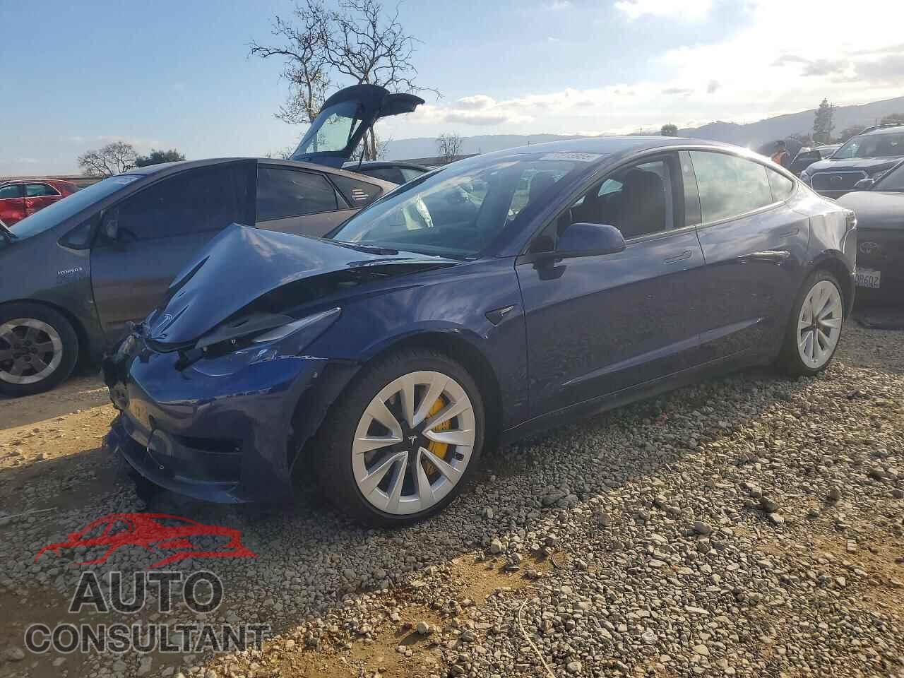 TESLA MODEL 3 2021 - 5YJ3E1EB5MF064735