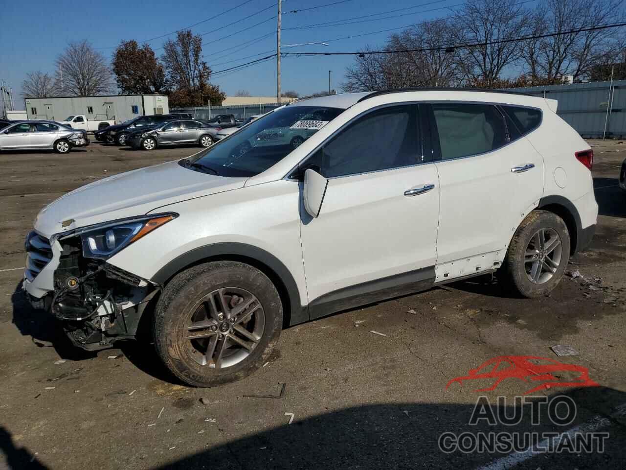 HYUNDAI SANTA FE 2017 - 5NMZUDLB4HH025091