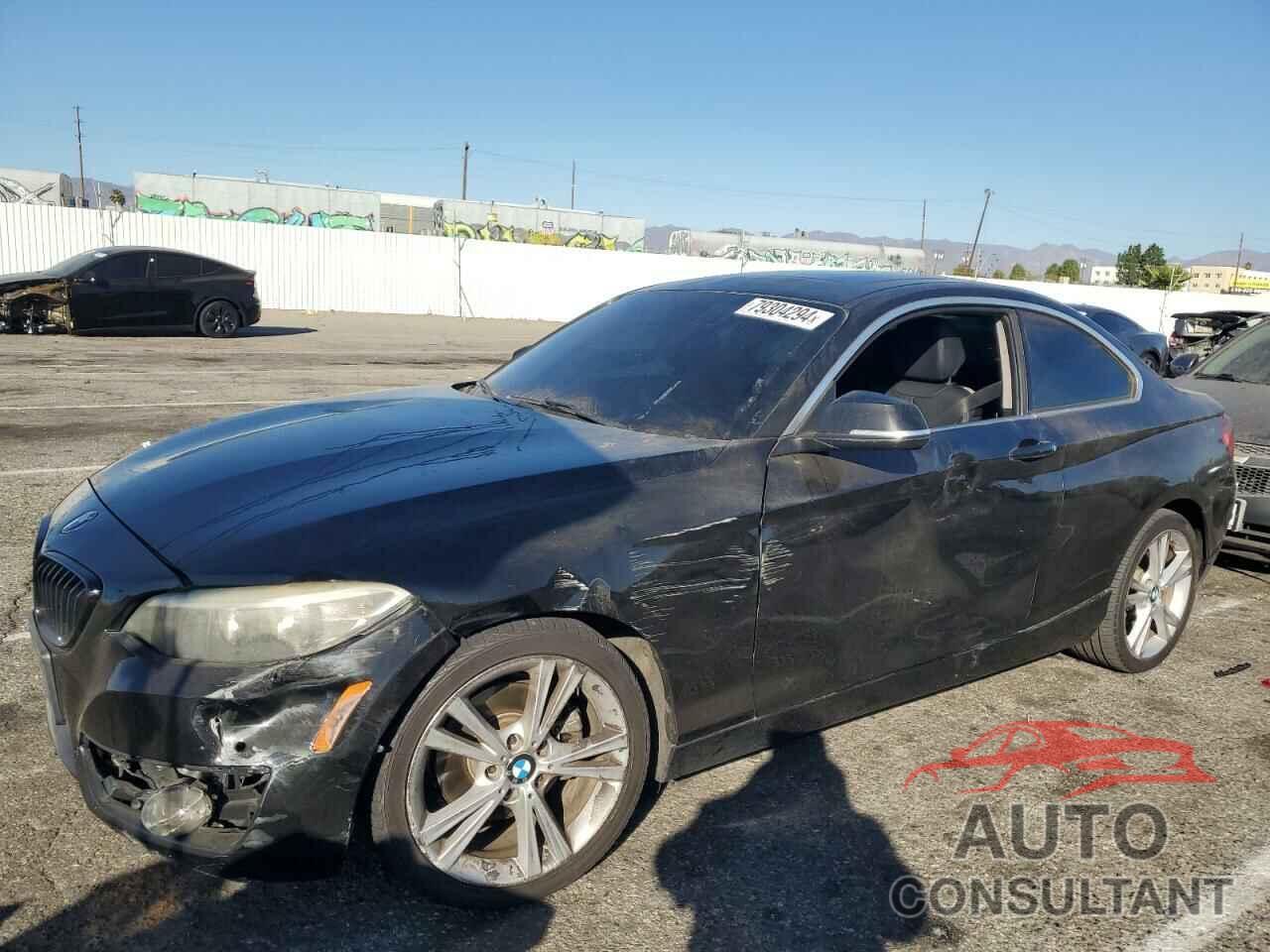 BMW 2 SERIES 2014 - WBA1F5C53EV246300
