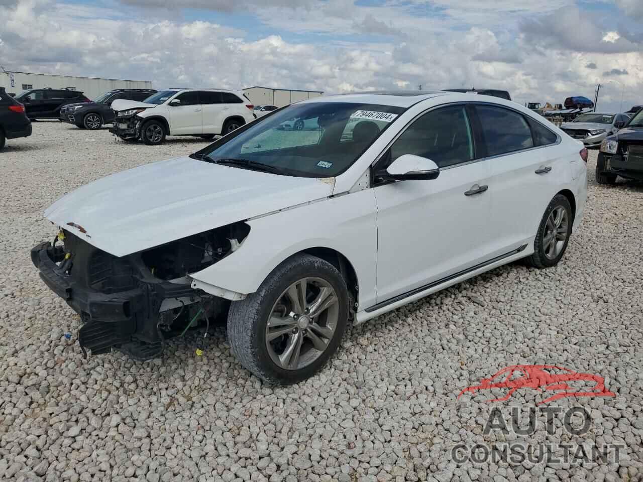 HYUNDAI SONATA 2019 - 5NPE34AF6KH743128