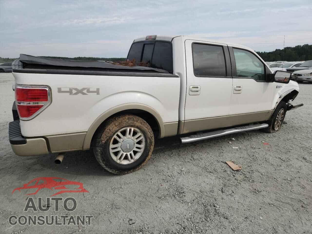 FORD F-150 2010 - 1FTFW1EV3AFD49493