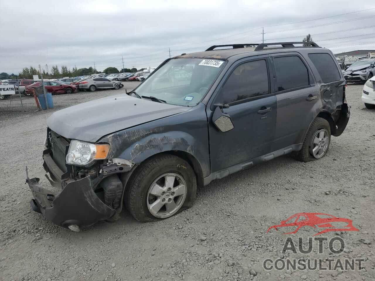 FORD ESCAPE 2009 - 1FMCU03769KC85455