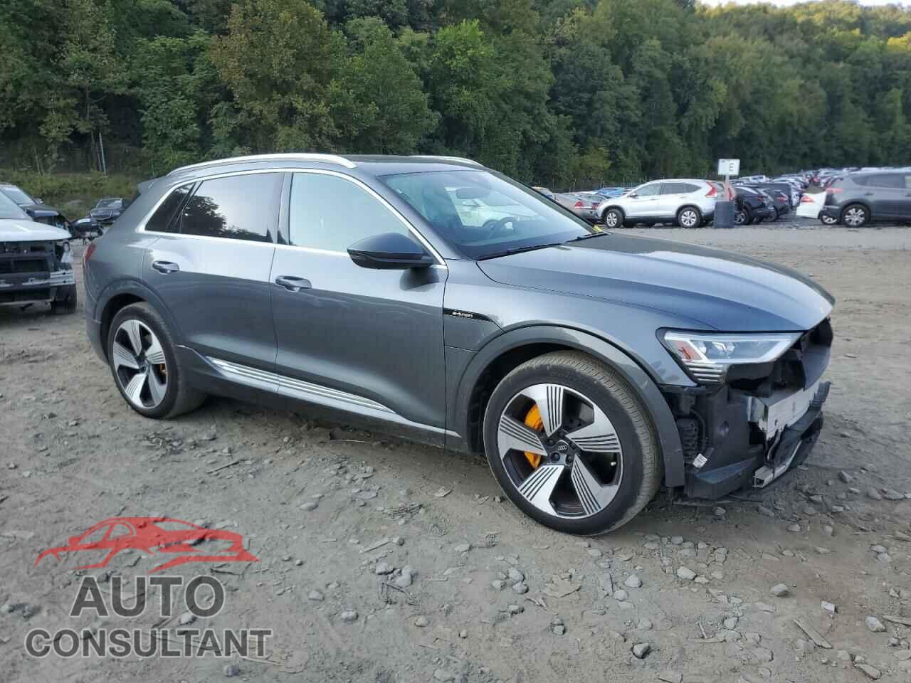 AUDI E-TRON 2019 - WA1VAAGE1KB006580