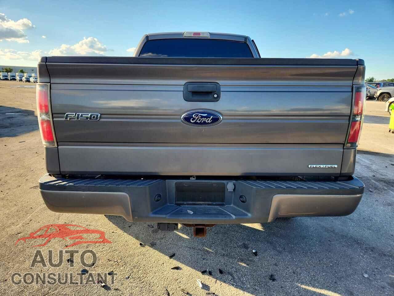 FORD F150 2014 - 1FTFX1CF3EKD13535