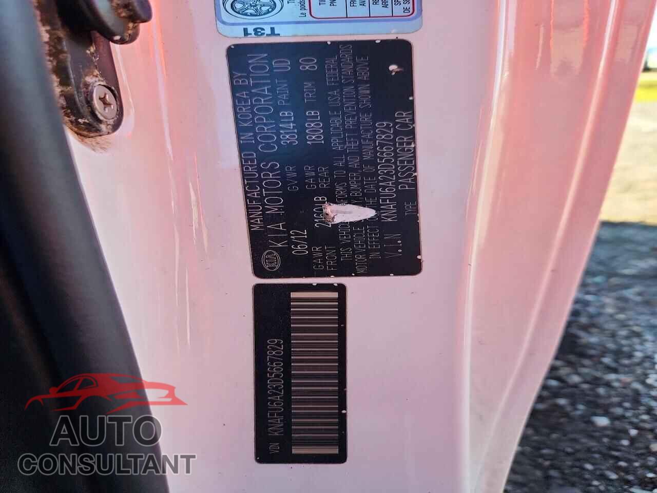 KIA FORTE 2013 - KNAFU6A23D5667829