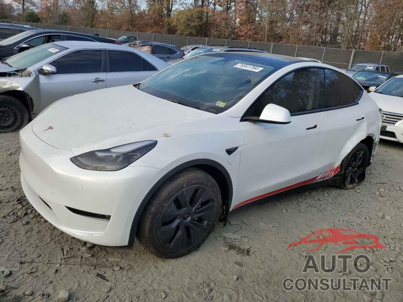 TESLA MODEL Y 2024 - 7SAYGAEE2RF168992