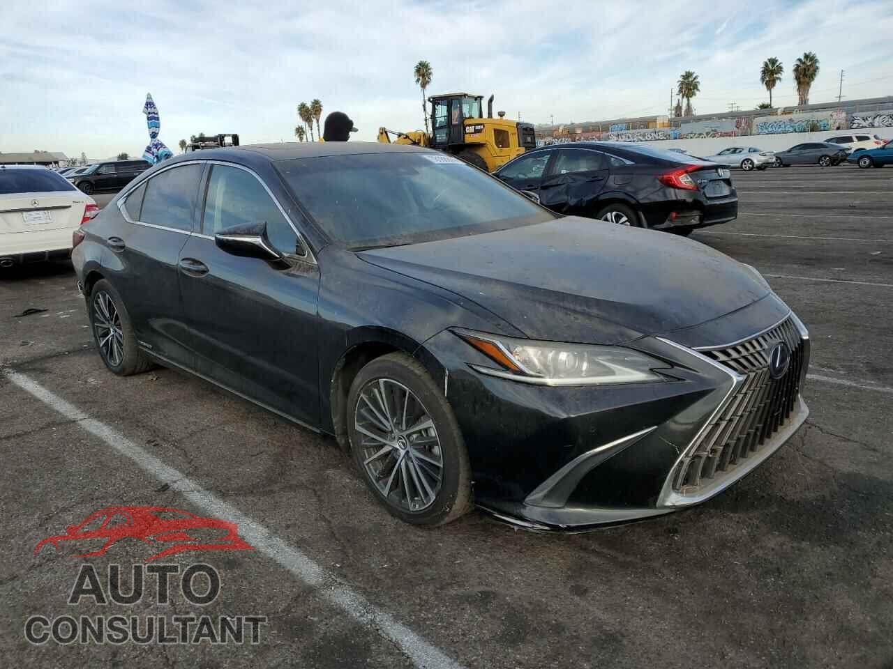 LEXUS ES300 2022 - 58ADA1C19NU023077