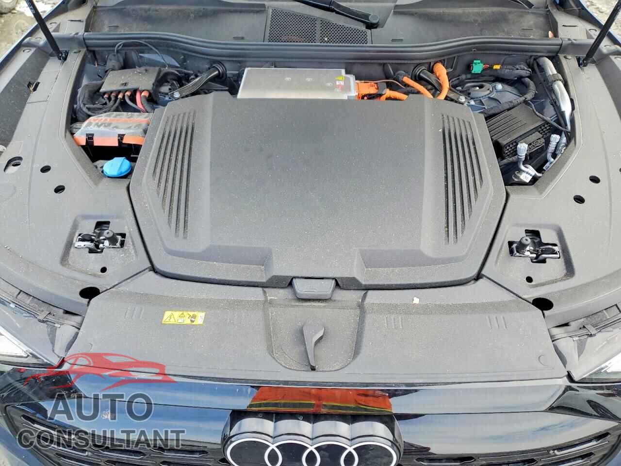 AUDI Q8 E-TRON 2024 - WA1DABGEXRB062108