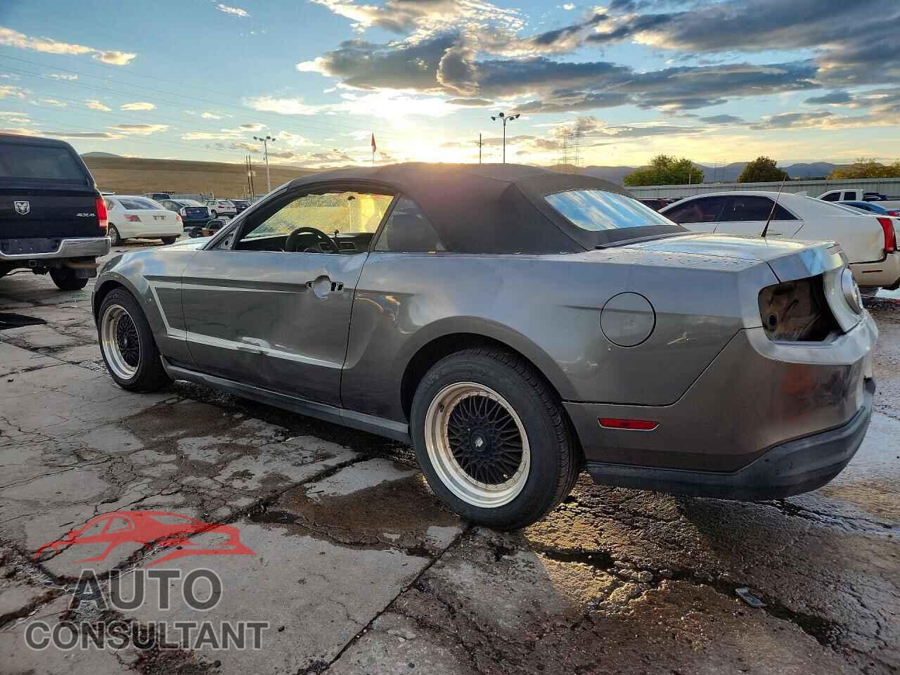 FORD MUSTANG 2010 - 1ZVBP8EN4A5124801