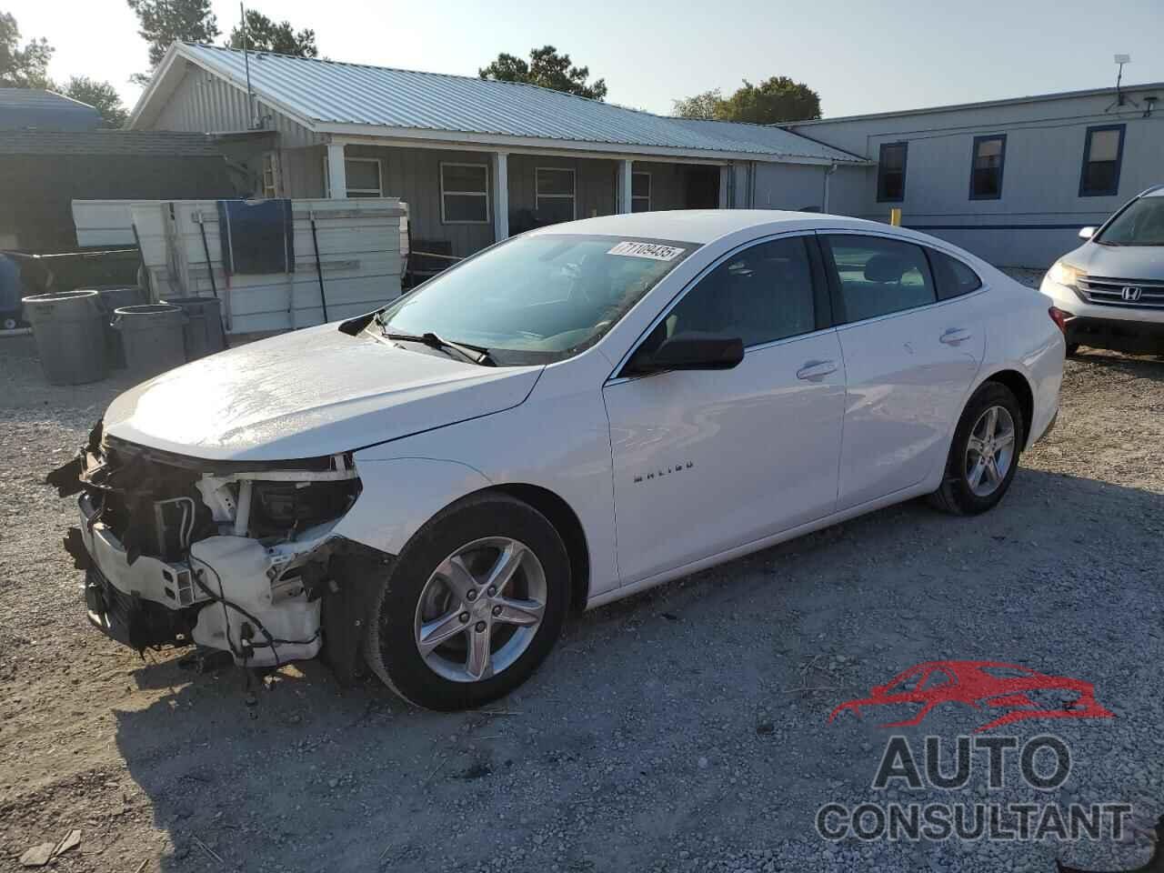 CHEVROLET MALIBU 2019 - 1G1ZB5ST3KF122432