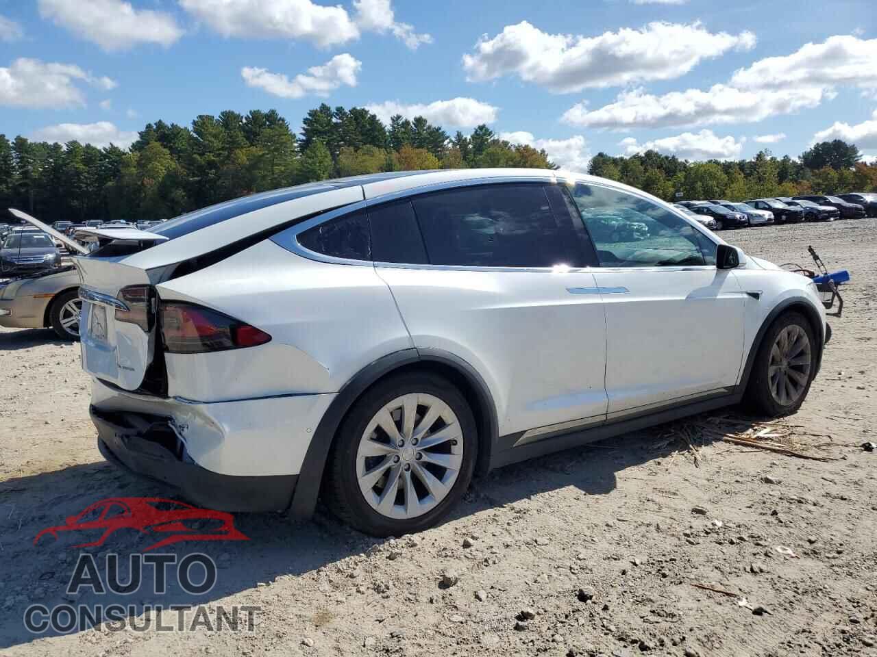 TESLA MODEL X 2019 - 5YJXCDE26KF207603