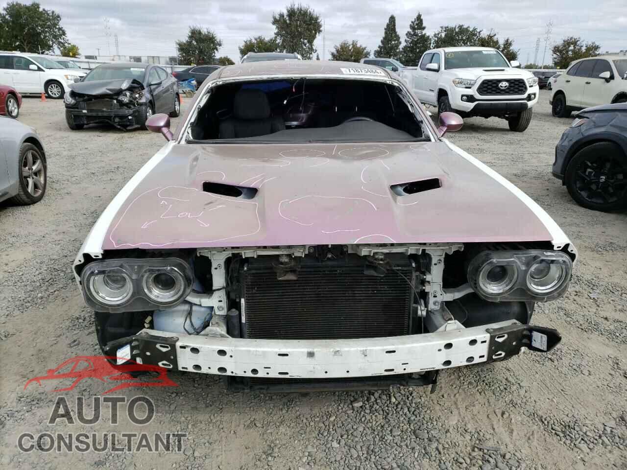 DODGE CHALLENGER 2019 - 2C3CDZAG0KH534720