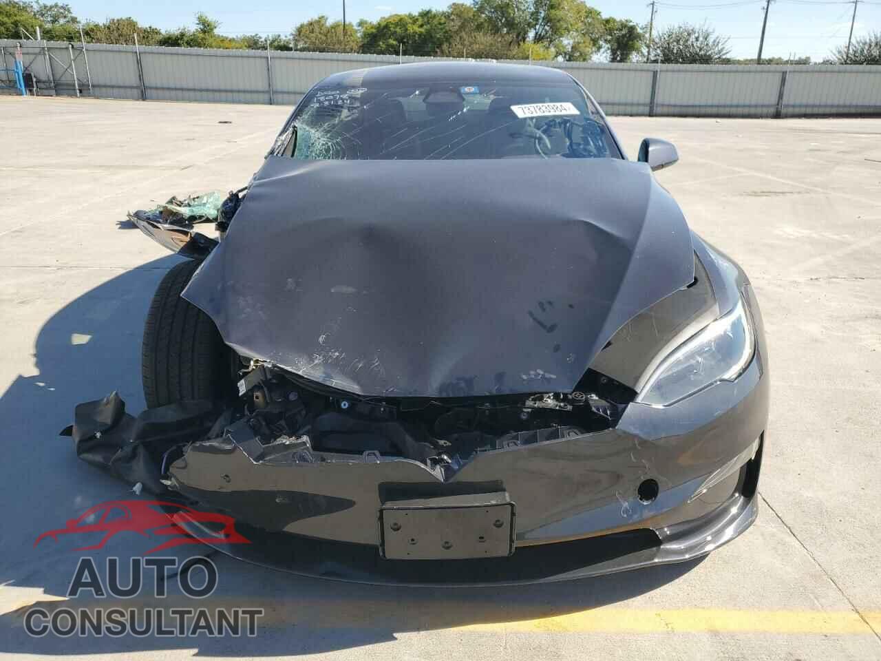 TESLA MODEL S 2024 - 5YJSA1E5XRF542575