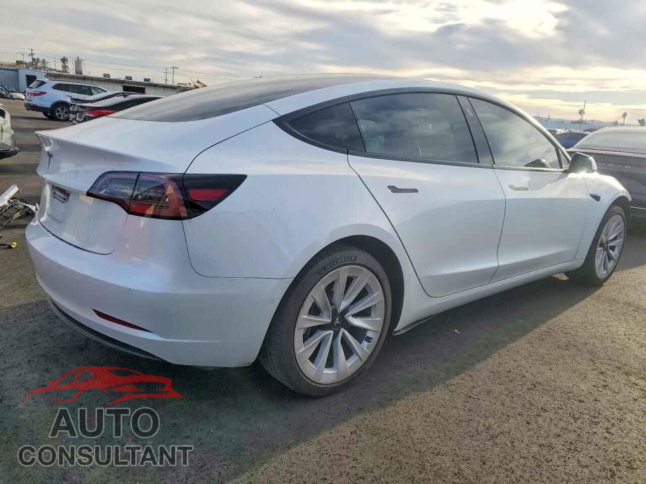 TESLA MODEL 3 2021 - 5YJ3E1EA3MF018084