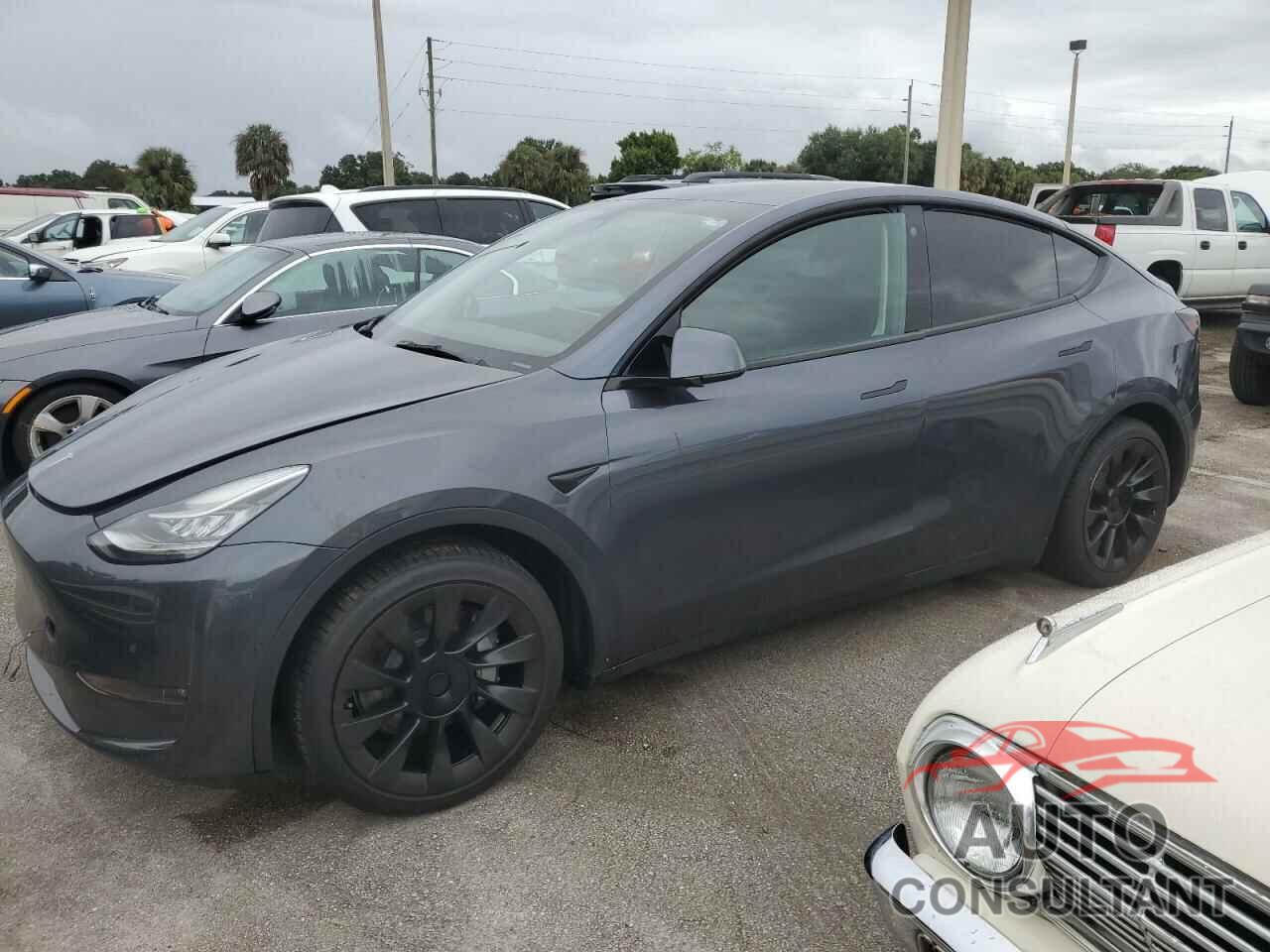 TESLA MODEL Y 2022 - 7SAYGDEE5NF480607