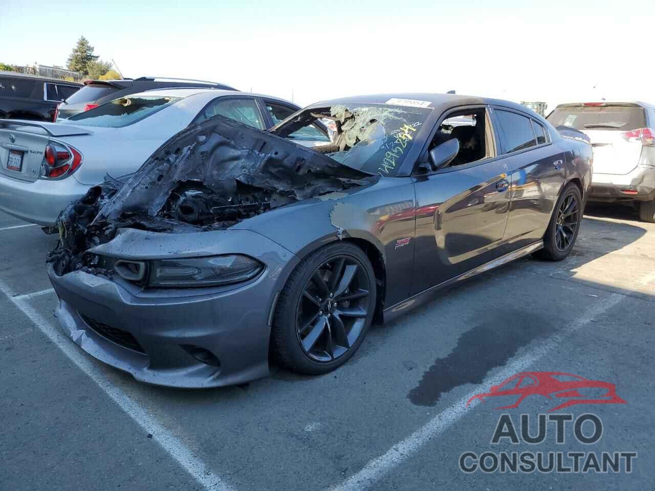 DODGE CHARGER 2019 - 2C3CDXGJ2KH589144