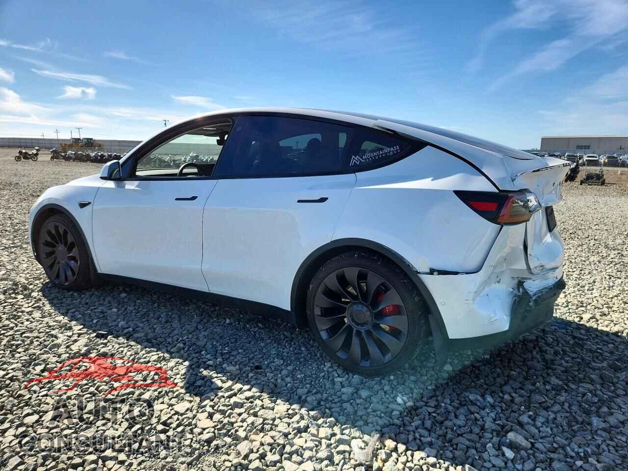 TESLA MODEL Y 2022 - 7SAYGDEF2NF393823