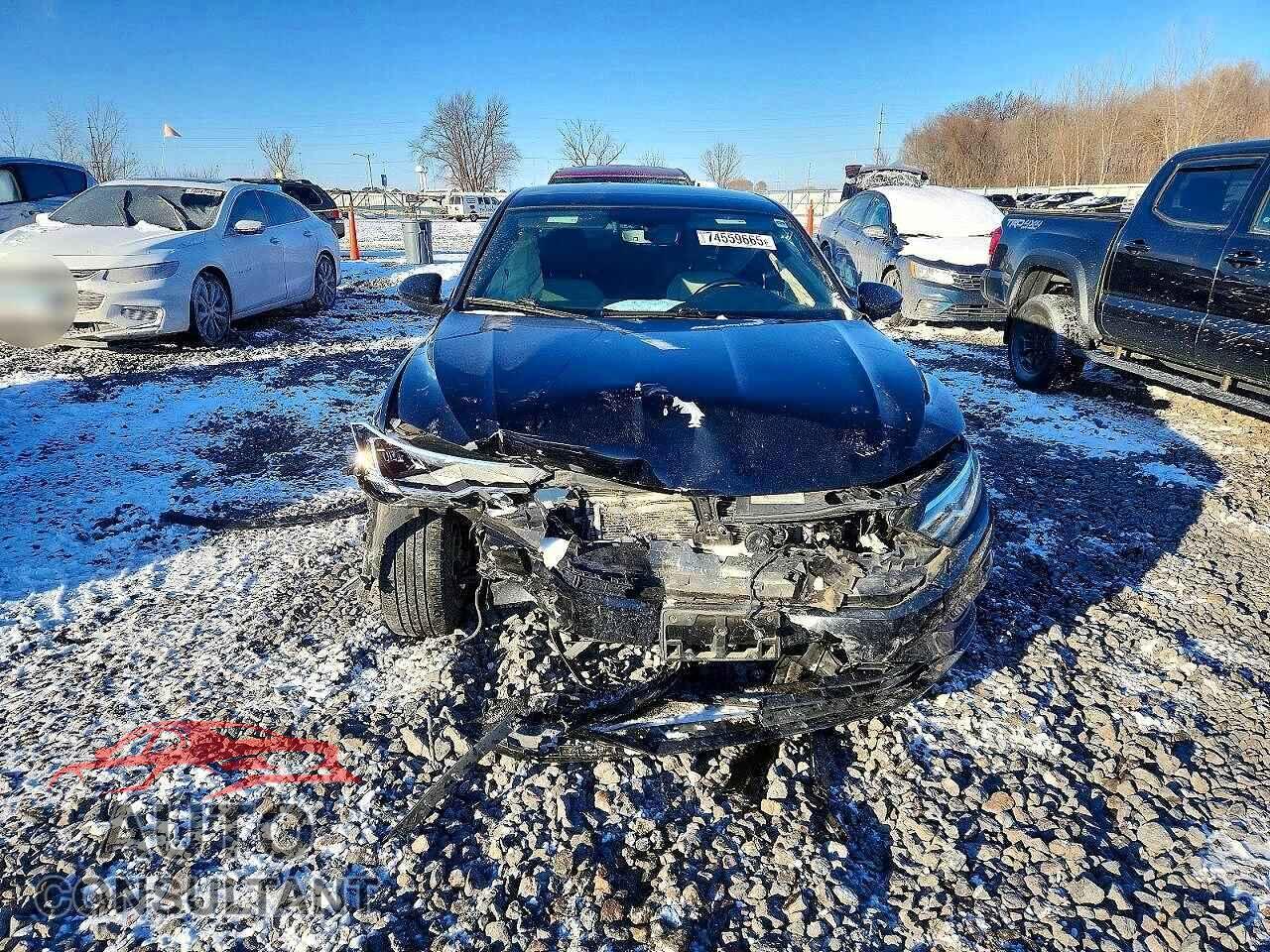 VOLKSWAGEN JETTA 2019 - 3VWCB7BU8KM219799