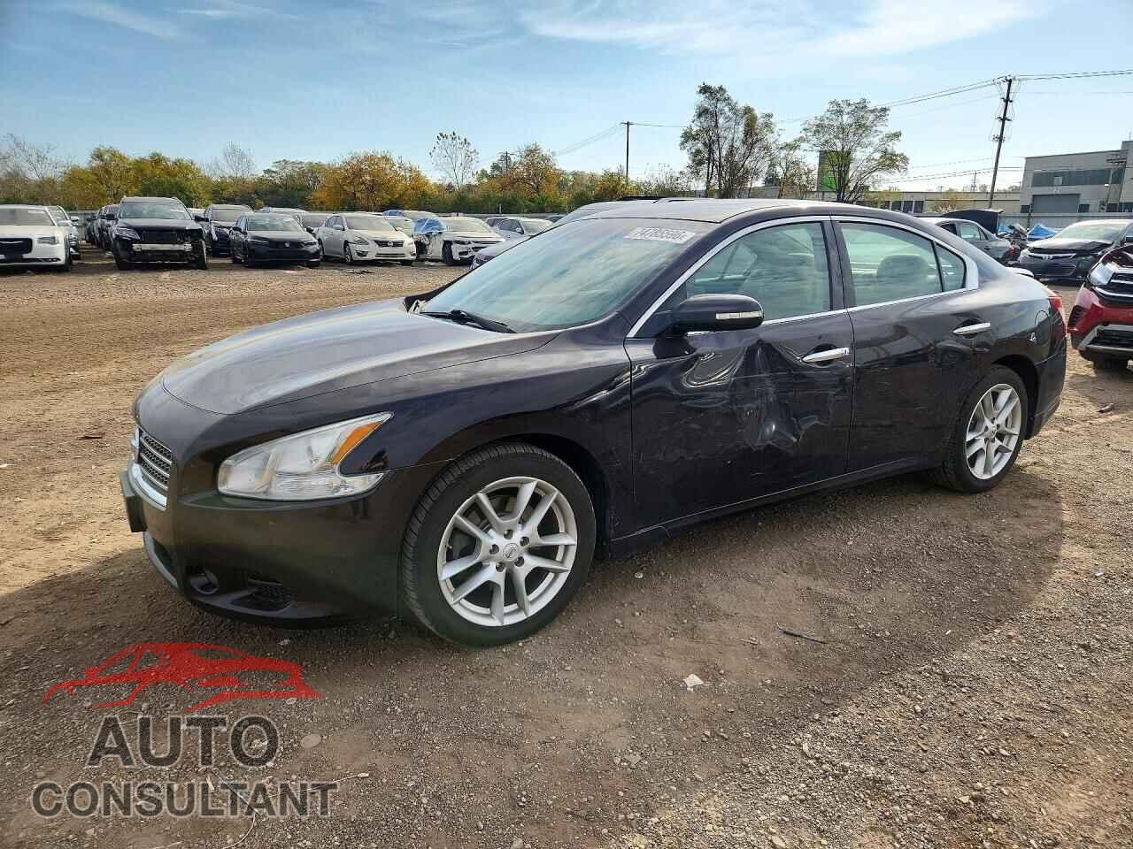 NISSAN MAXIMA 2010 - 1N4AA5AP7AC813321