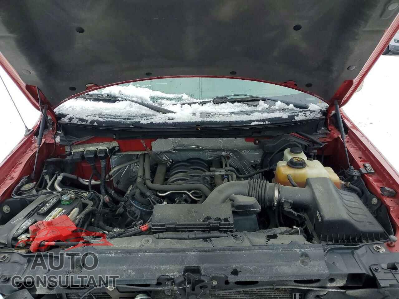 FORD F150 2013 - 1FTFW1EF8DFD25459