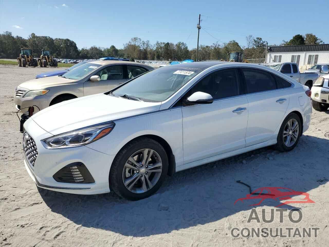 HYUNDAI SONATA 2019 - 5NPE34AF5KH773205