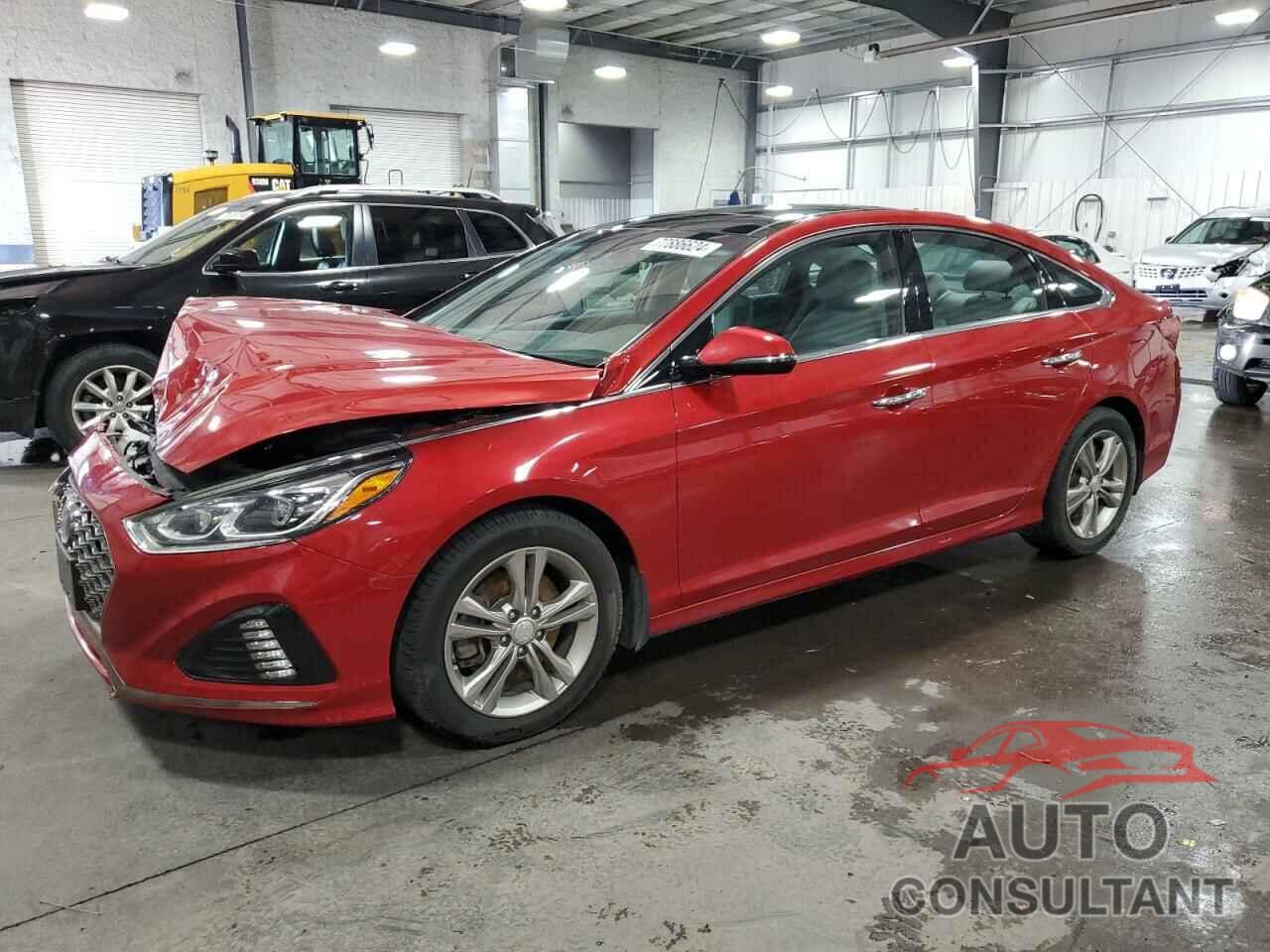 HYUNDAI SONATA 2019 - 5NPE34AFXKH809776