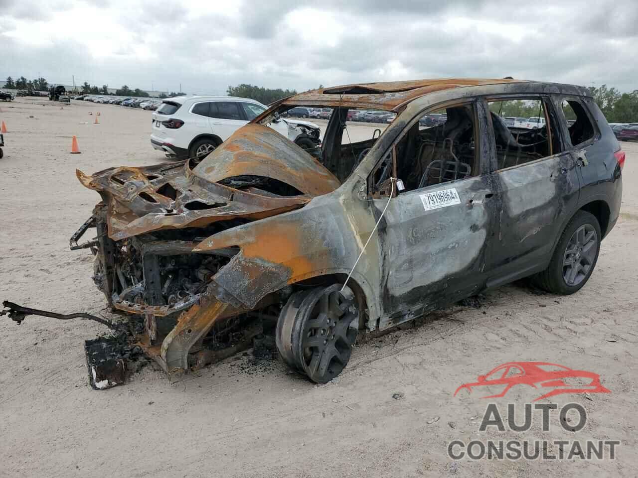 HONDA PASSPORT 2022 - 5FNYF8H59NB017484