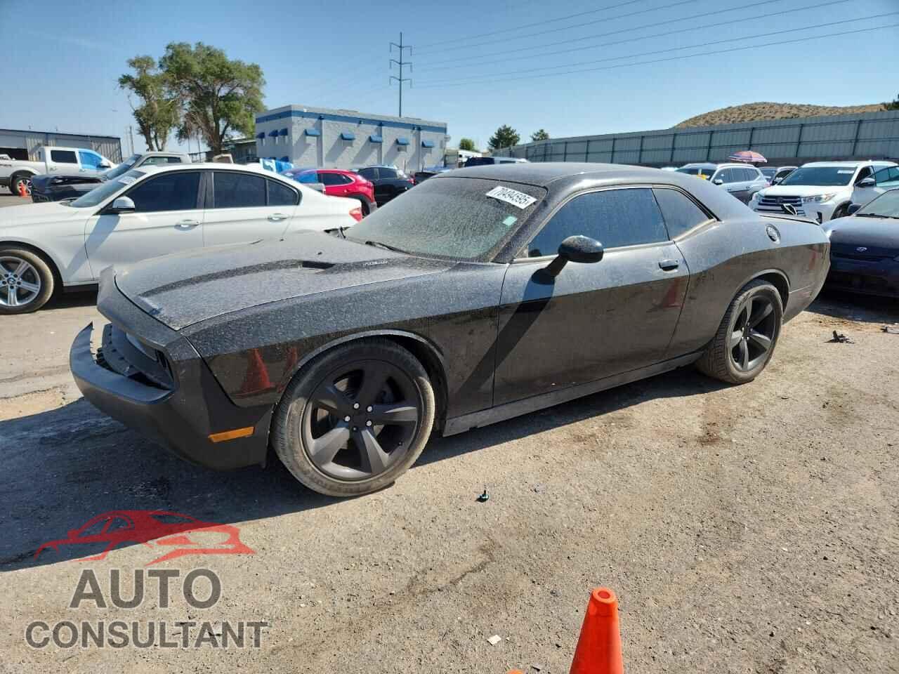 DODGE CHALLENGER 2013 - 2C3CDYBTXDH646837